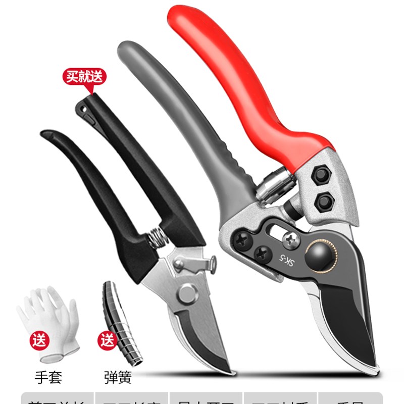剪树枝专用剪刀园林园艺花艺剪子果树修枝剪刀修剪树枝剪刀修枝剪