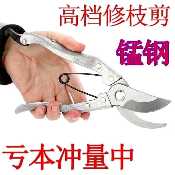 。果树剪刀树枝家用剪子园艺剪剪枝花剪充电式修枝剪刀园林剪枝机