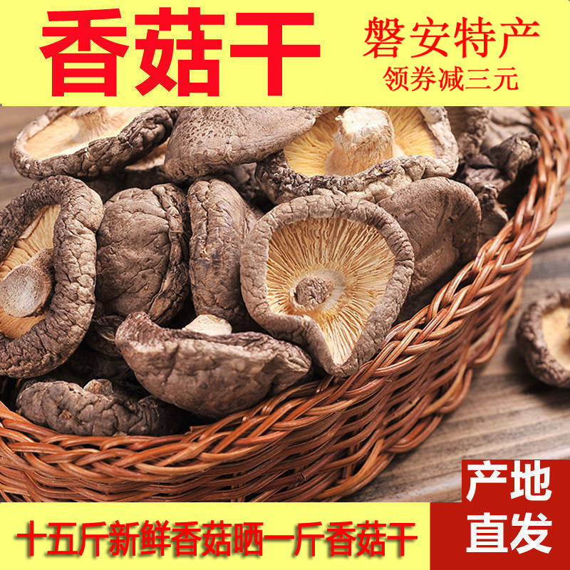 淅语(大个品种)磐安特产蘑菇新鲜农家香姑干货煲汤干菜肉厚菌菇