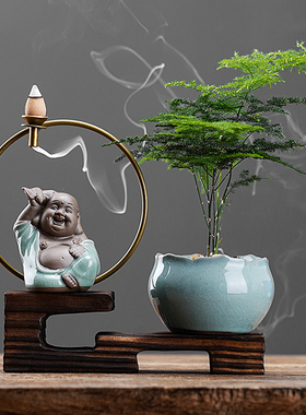 禅意文竹植物盆栽室内好养