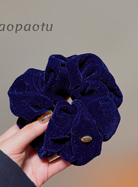 2025新款秋冬蓝色丝绒亮闪闪大肠发圈女百搭高级感头绳扎马尾发饰