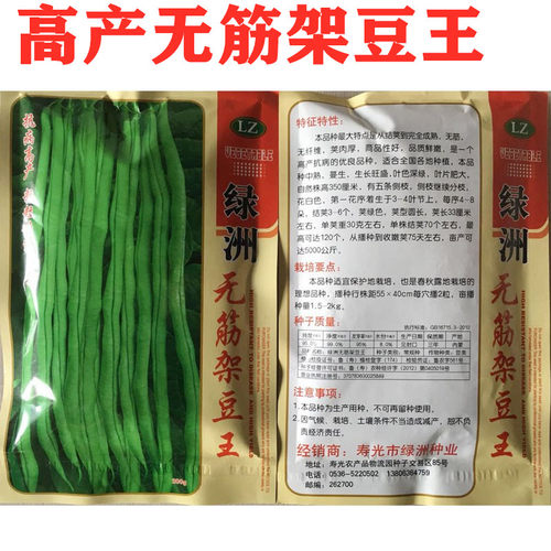 无筋架豆王种子泰国无筋豆种籽豆角长芸豆蔬菜四季豆青豆高产绿洲