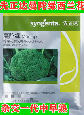 西兰花种子 西蓝花种籽 青花椰菜 花菜菜花 高产 先正达蔓陀绿