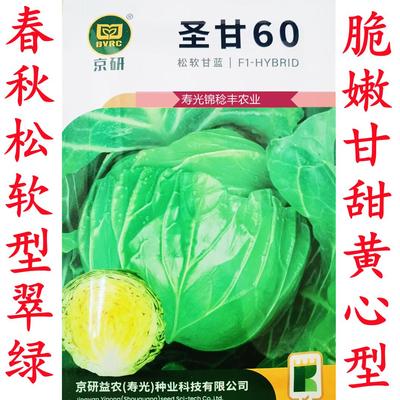 圣甘60水果甘蓝韩美绿球泽鸿韩绿甘蓝种子黄芯黄心脆嫩甜松软型籽