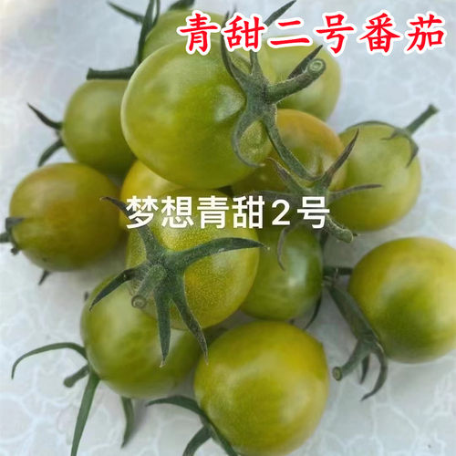 青口蜜青甜二号绿色口感番茄