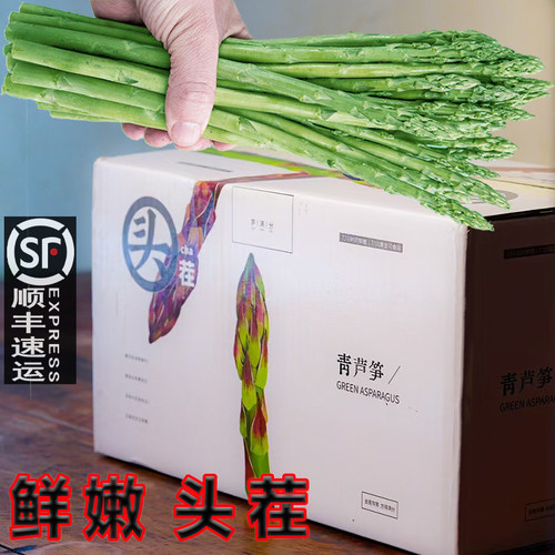 顺丰2026江苏头茬特级芦笋苞芽新鲜青嫩笋尖蔬菜笋满分绿笋小青笋