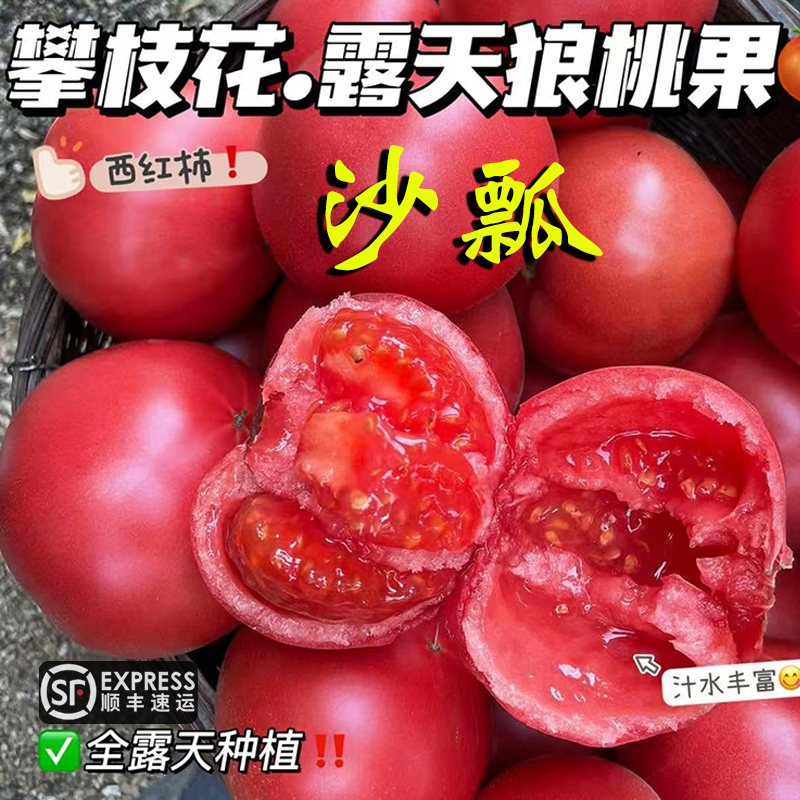 攀枝花露天沙瓢西红柿自然熟生吃水果顺丰普罗旺斯番茄新鲜狼桃甜