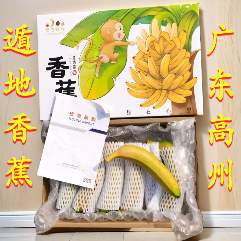 高州遁地雷香蕉自然熟当季小米新鲜现摘芭蕉米黄皮孕妇蕉果皮鲜生