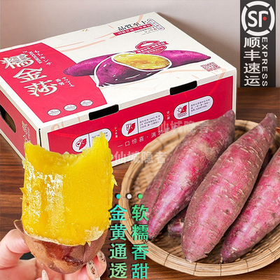 糯金莎蜜薯顺丰沙地番薯新鲜香甜软糯黄心地瓜礼盒玛莎莉红薯无丝