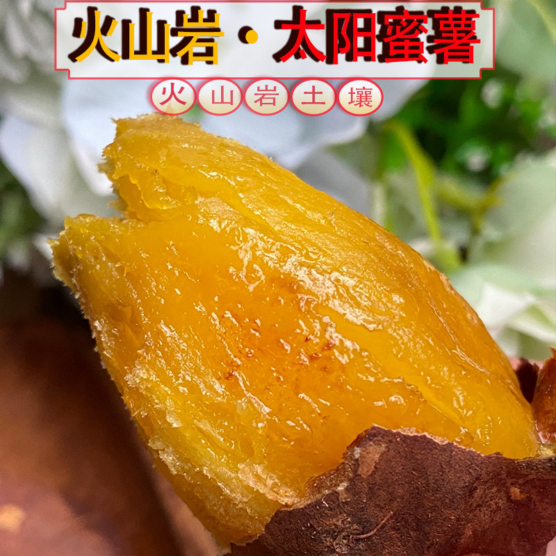 云南太阳蜜薯火山岩红薯赭原黄心地瓜高原山沙地番薯糖心黄金云南