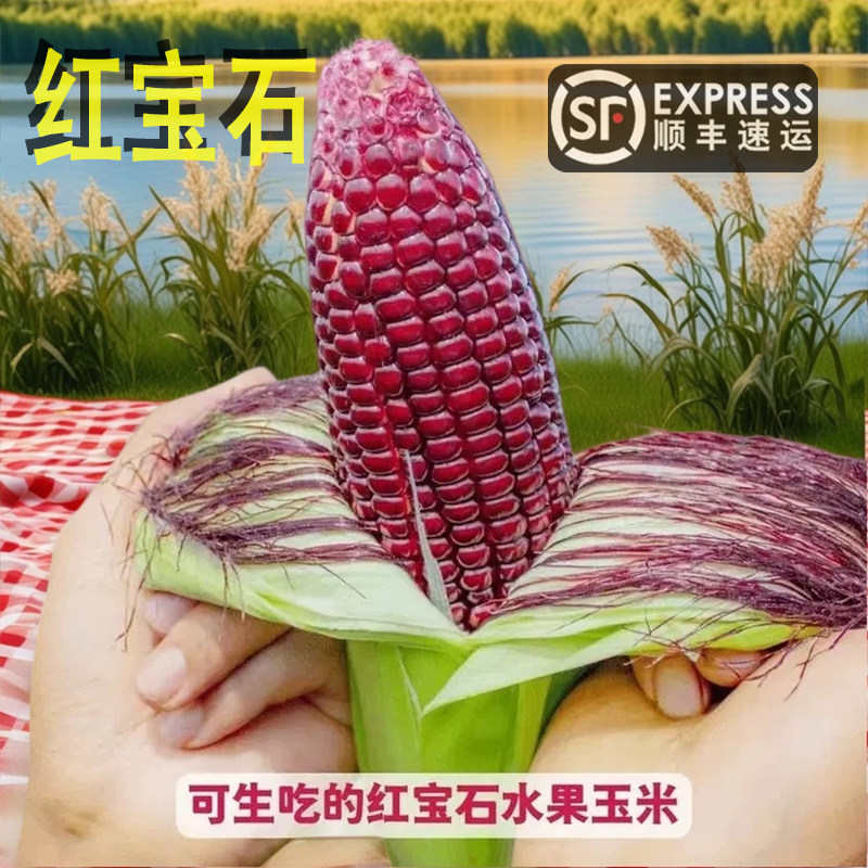 顺丰红宝石水果玉米新鲜现摘泰国暹罗即食网红草莓七彩甜嫩红棒包