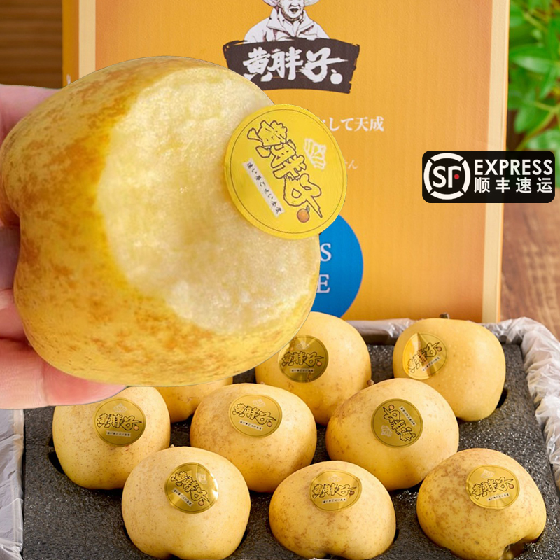 11月黄胖子维纳斯黄金苹果雀斑云巅金斑太阳新鲜脆甜送礼盒冰糖心