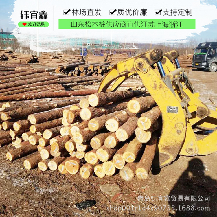 现货供应落叶松木桩 河道防汛木桩工程木材 各种规格