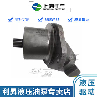 125 107 160W6.1VZL10PT20 上海电气斜轴柱塞马达A2FE56