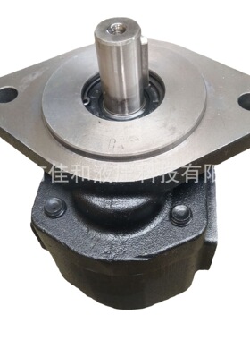 厂家直供龙工855E泊姆克工作泵   1165041011