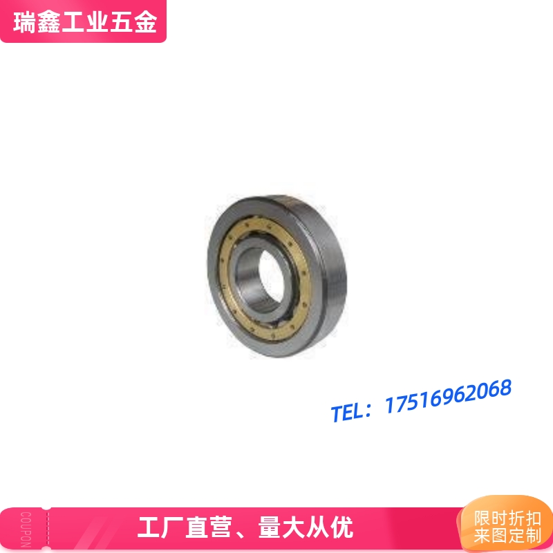轴承 RN203M RN204M RN205M RN206E RN207M RN208M