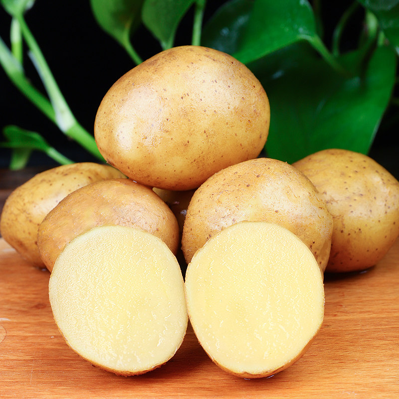 鲜馥 黄心土豆新鲜现挖洋芋马铃薯农家自种自产土豆子5斤