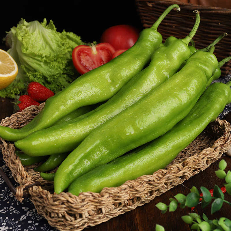 山东新鲜蔬菜现摘绿尖椒青椒尖椒3斤装农家自种辣椒寿光蔬菜