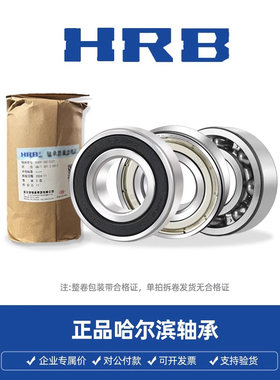 HRB哈尔滨高速轴承6200 6201 6202 6203 6204 6205 6206RS RZ 2 Z