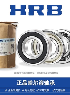 哈尔滨轴承 RZ Z 6207 6208 6209 6210 6211 6212 6213 2RZ 2Z