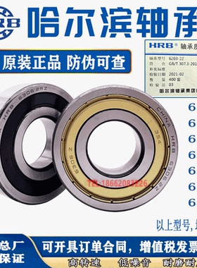 HRB哈尔滨轴承6300 6301 6302 6303 6304 6305 6306 RZ Z原厂高速