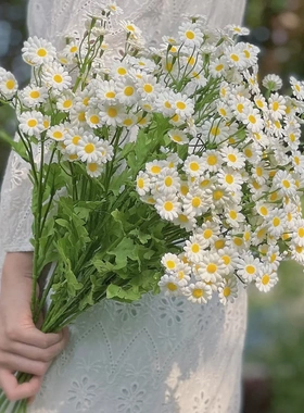 30头洋甘菊小雏菊野菊仿真花绢花