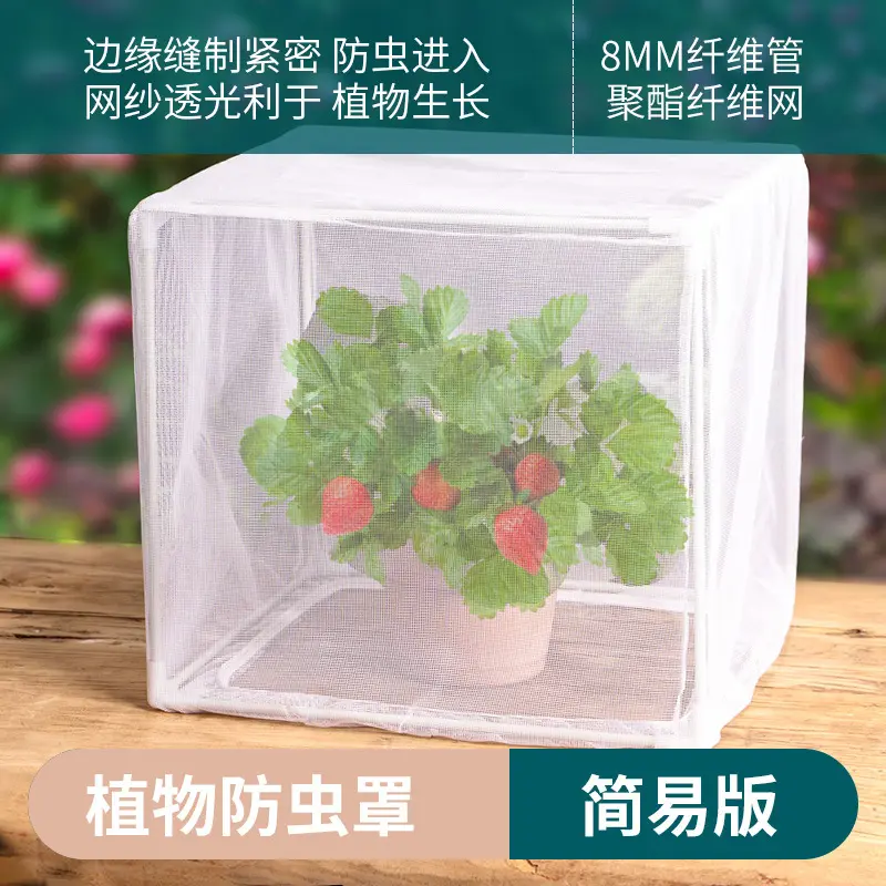 植物防虫保护罩防鸟袋蔬菜多肉