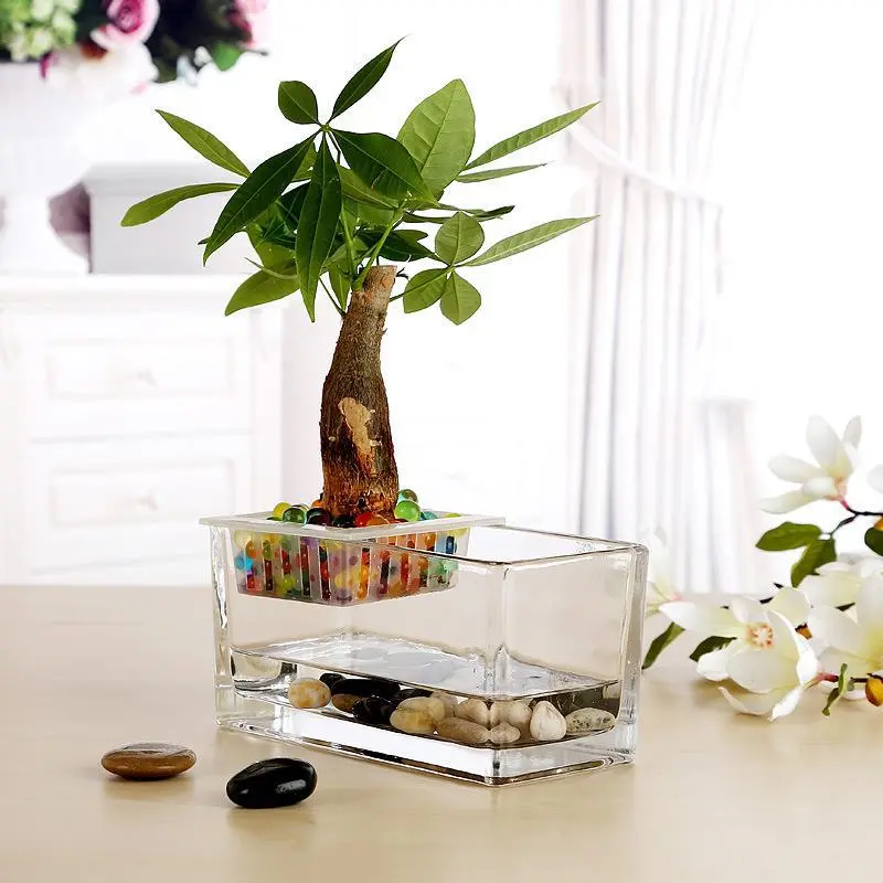 水培植物玻璃缸长方形s型透明