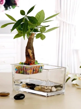水培植物玻璃缸长方形s型透明