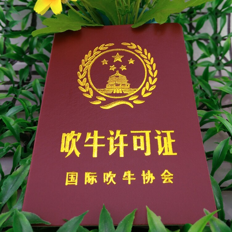 吹牛许可证搞笑证书整蛊玩具恶搞整蛊恶搞礼物直播间场景道具留人