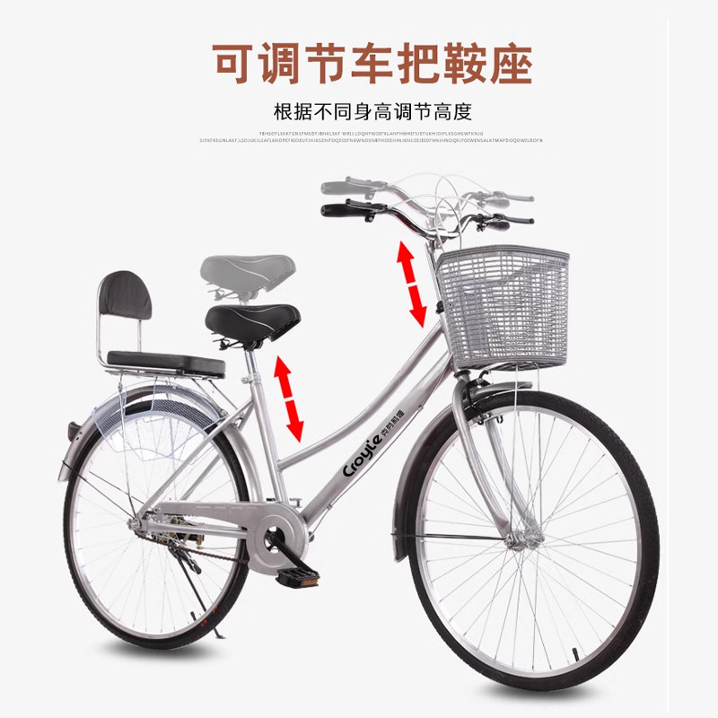 车载户外骑行自行车CR-1208