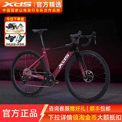 喜德盛AD350碳纤维破风运动单车