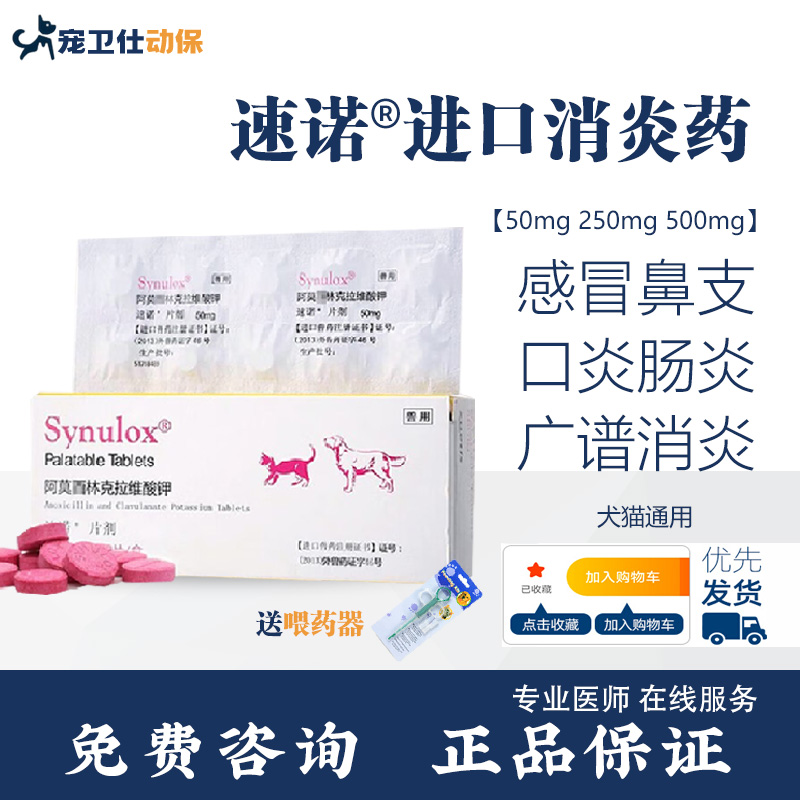 辉瑞速诺消炎片猫美国原装进口
