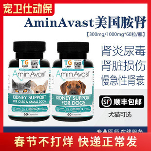 美国AminAvast肾衰停猫胺肾狗肾脏降磷猫肾犬肾透活肾犬猫用护肾