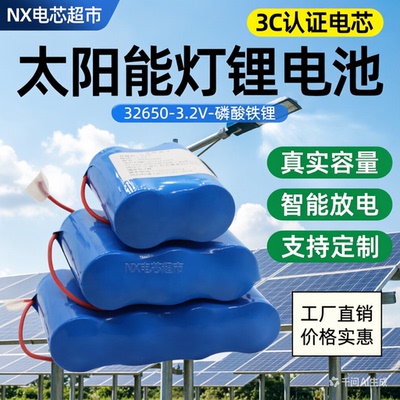 太阳能照明灯锂电池3.2V6.4V9.6V
