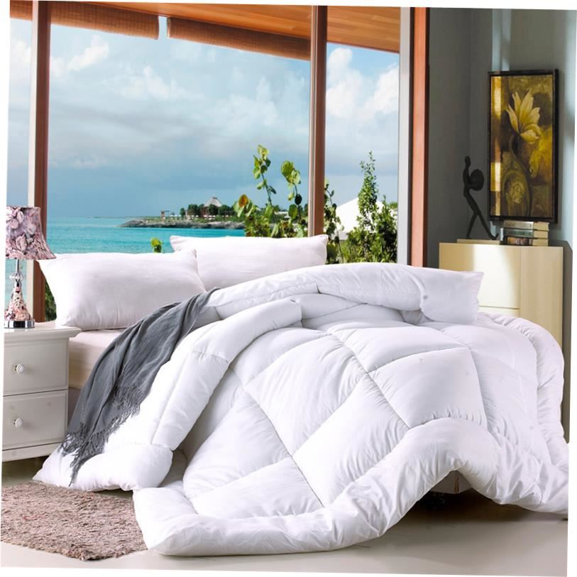 棉被冬化纤冬被 warm quilt winter bed comforter duvet blanket