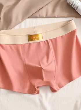 3pcs Men Underwear Cotton BoxerShorts Hombre Panties Man Bre