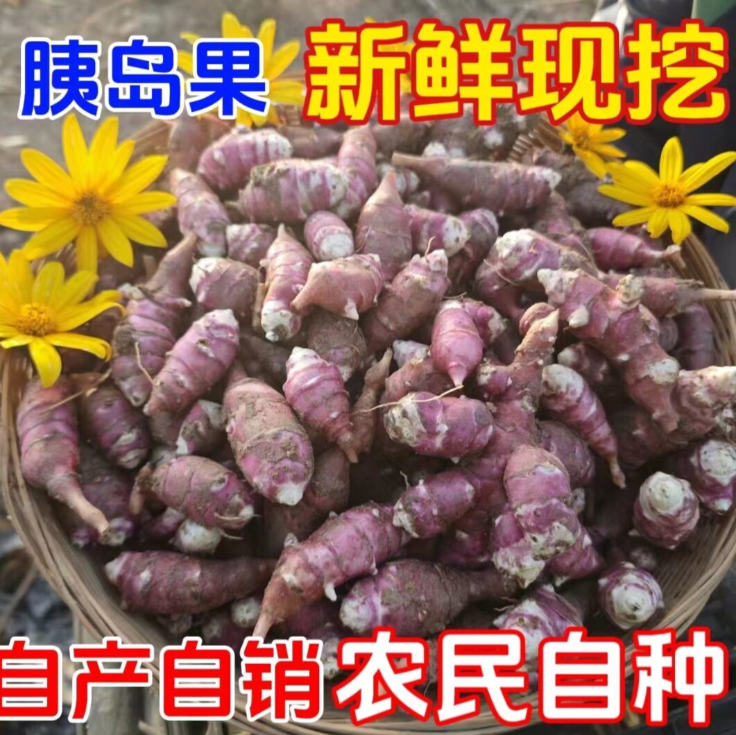 新鲜现挖胰岛果红皮洋姜鬼子姜野生红果腌酱泡咸菜甜姜
