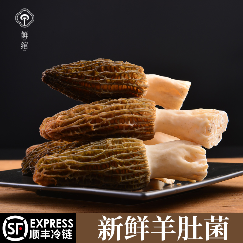 新鮮羊肚菌野生500g雲南特産特級6-9cm非幹貨2021年新貨頭茬預售在類目 糧油米麪/南北乾貨/調味品, 南北乾貨/肉類乾貨, 乾貨/土特產, 香菇類中 - 來自Buy2taobao.com提供專業的淘寶代購服務