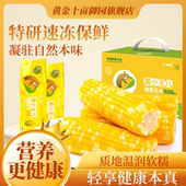 黄小主冷冻新鲜东北有机玉米 黄金十亩御园 2025新玉米 20支