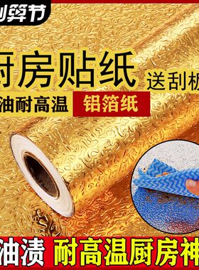 靓拉美厨房PVC防水防油