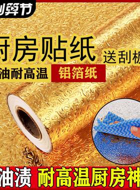 靓拉美厨房PVC防水防油