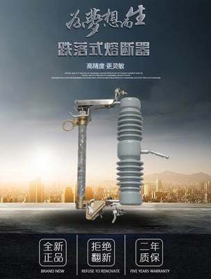 RW12-12KV/200A户外高压跌落式熔断器PRW12-10KV高压令克开关保险