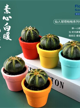 花仕多 橙色 仙人球仙人掌沙生沙漠植物多肉防辐射除甲醛绿植盆栽