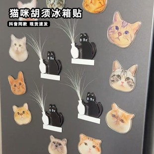 猫咪胡须收纳冰箱贴可爱小猫咪推瓶子毛发收集瓶网红磁吸冰箱摆件