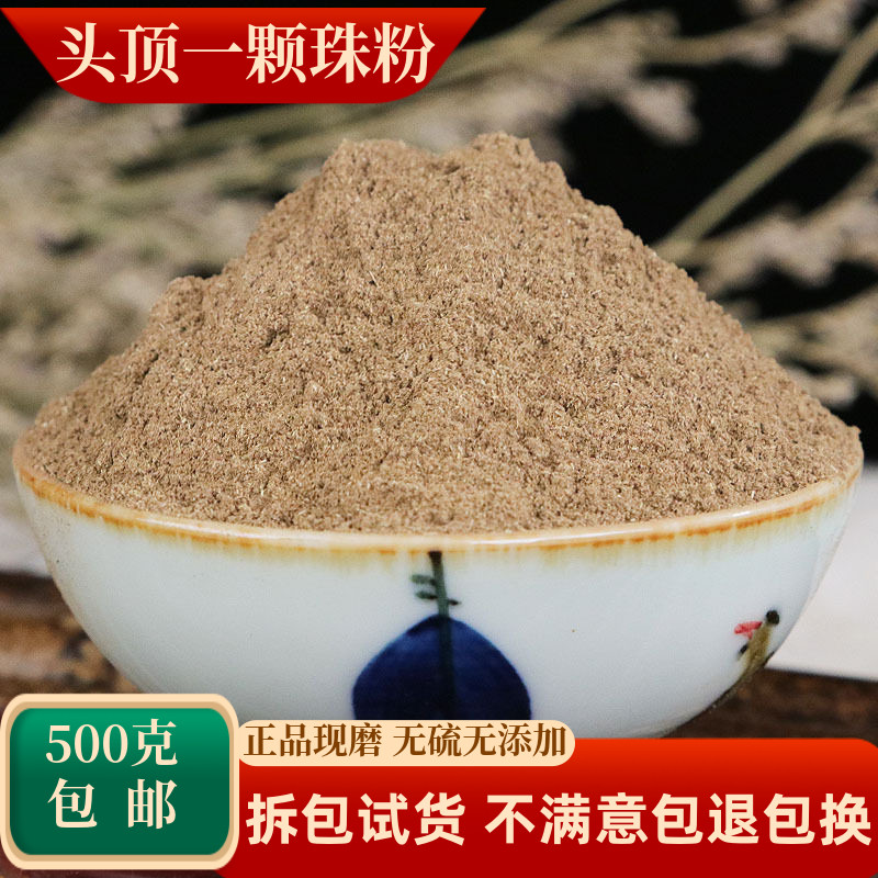 头顶一颗珠粉中药材芋儿七蛇头草