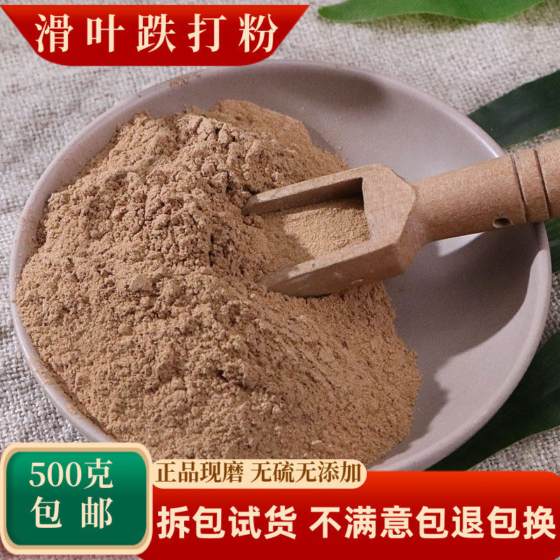 滑叶跌打中药材假鹊肾树皮青树