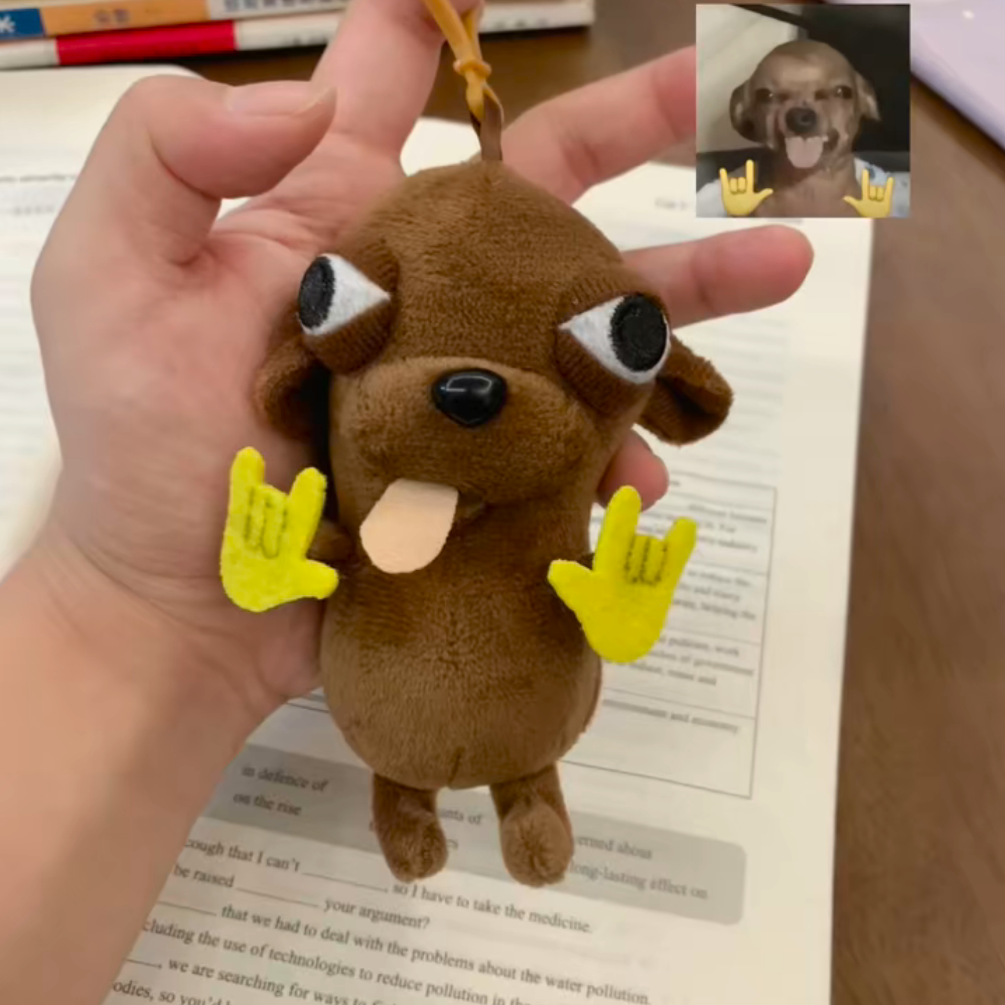 吉娃娃毛绒玩具钥匙扣公仔抱枕