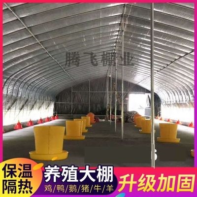养殖大棚骨架钢管养猪牛羊圈猪舍保温全套鸡舍养鸡场