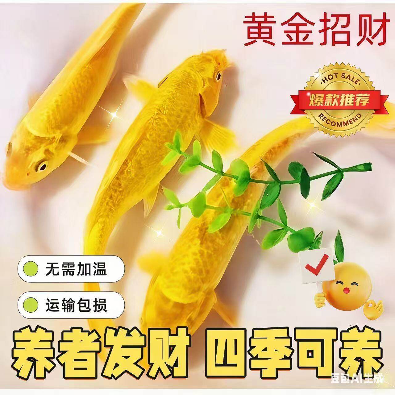 小鱼活体鱼三色便宜活鱼小型黄金